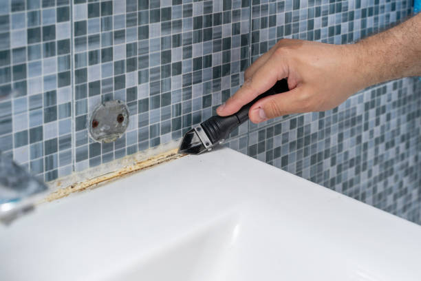 Best Post-Flood Mold Remediation in North Aurora, IL